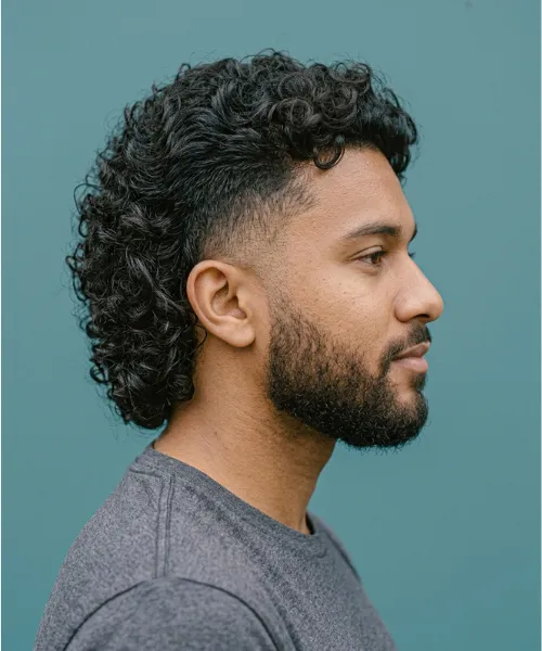 Modern Mullet Low Fade Hairdesign